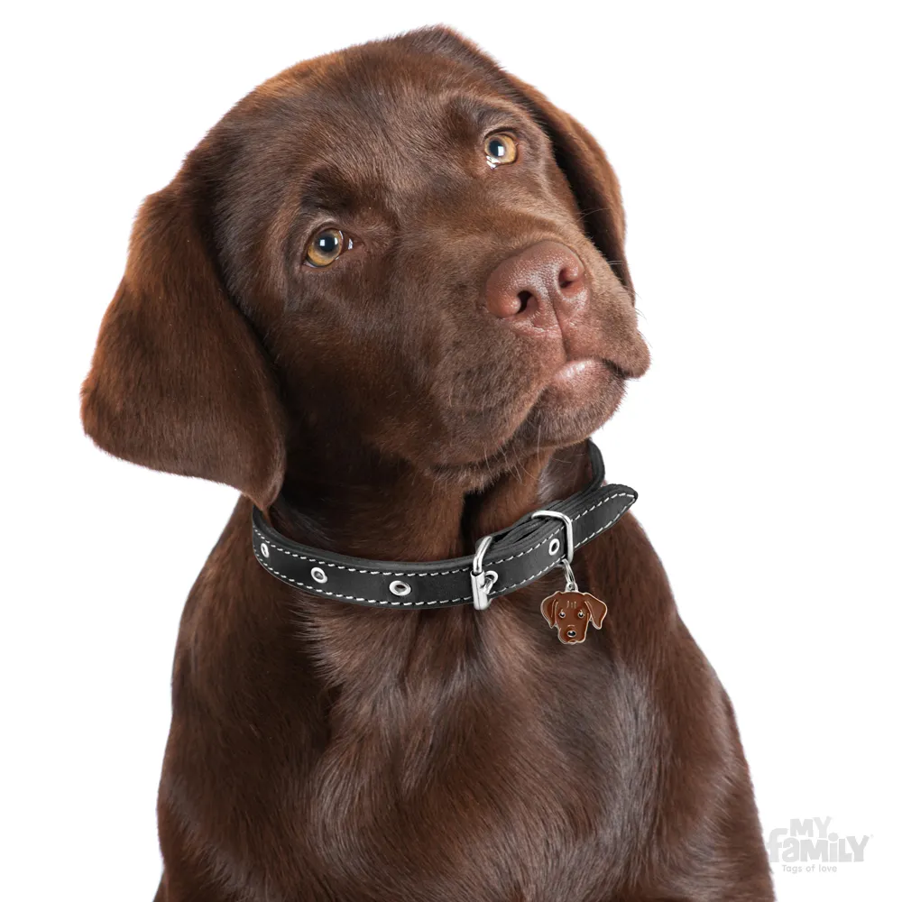 My Family Dog Tag  - Ръчно изработен адресник , Labrador Dog за кучета 3.3 см/ 2.6 см. кафяв 2