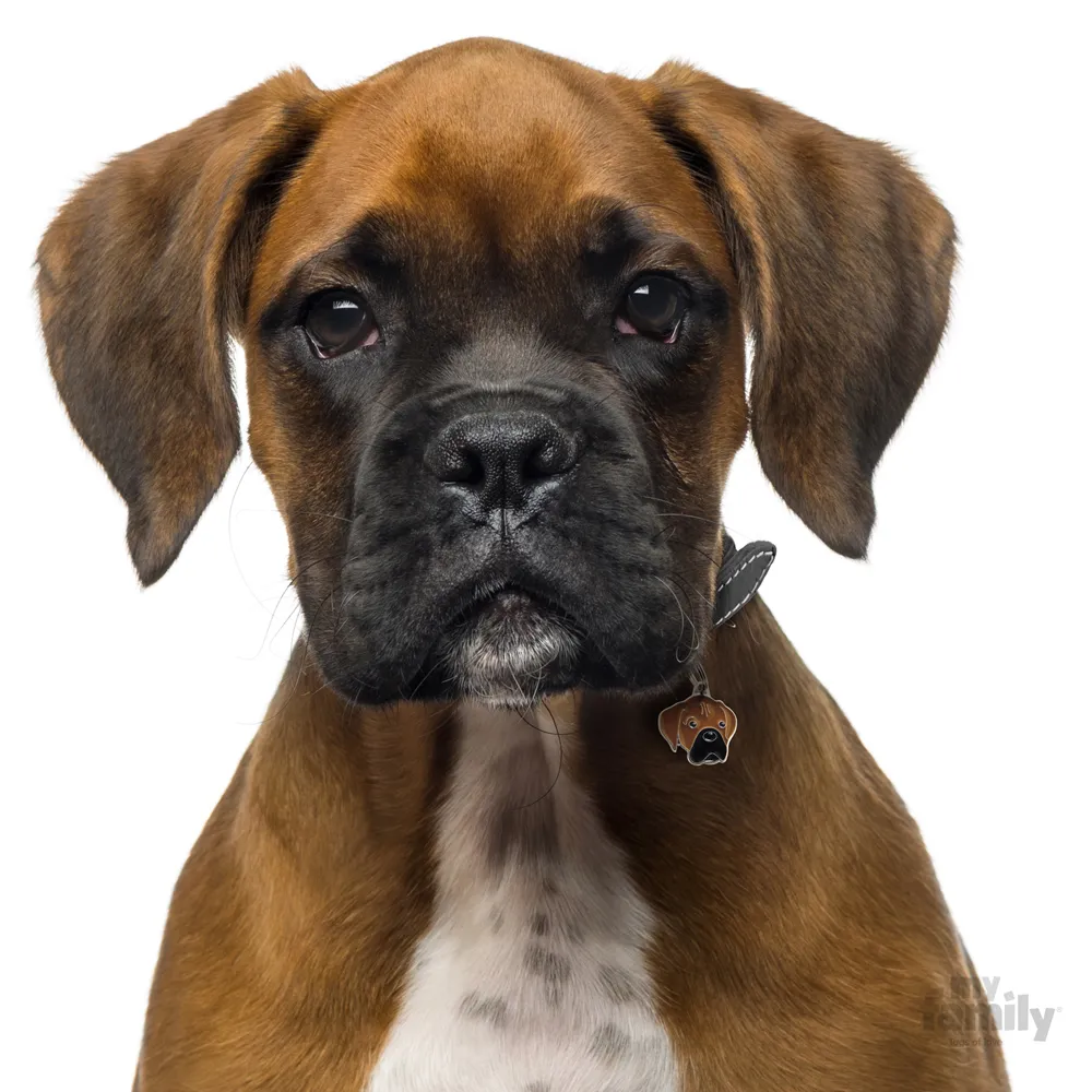 My Family Dog Tag  - Ръчно изработен адресник , Brindle Boxer Dog за кучета 2.9 см/ 2.6 см.  2