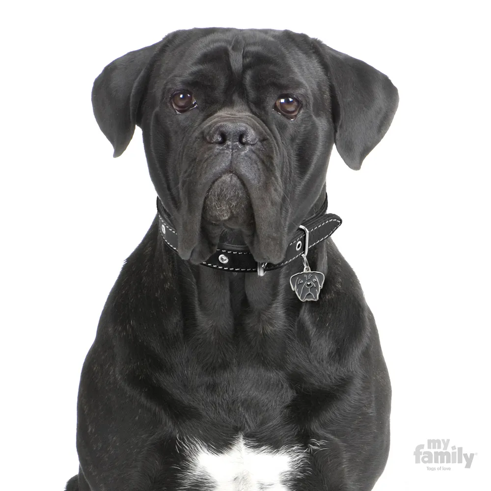 My Family Dog Tag - Ръчно изработен адресник , Corso Dog за кучета 3.1 см/ 3.7 см.  2