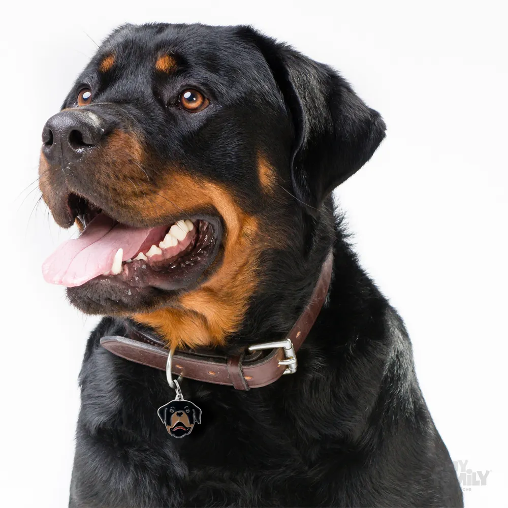 My Family Dog Tag - Ръчно изработен адресник ,Rottweiler Dog за кучета 2.9 см/ 3.4 см.  2