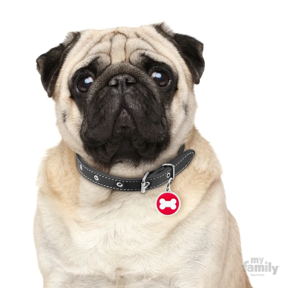 My Family Dog Tag - Ръчно изработен кръга адресник с кокал , за кучета 3.93 см/ 3.17 см.  червен  2