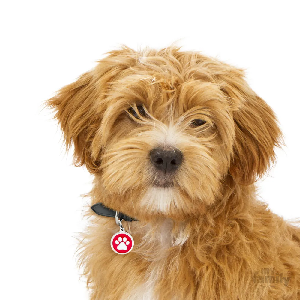 My Family Dog Tag - Ръчно изработен кръга адресник с лапа , за кучета 3.93 см/ 3.17 см.  червен  2