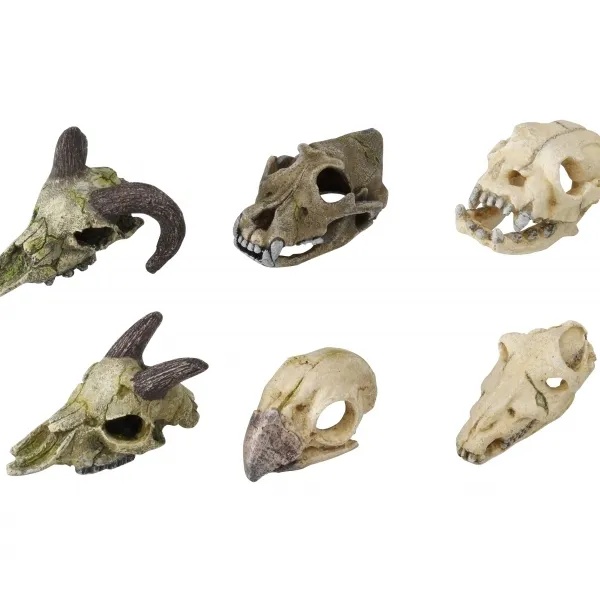 Duvo Plus Skull Mini Assorted - Декорация за аквариуми , скелети ,7-10 см.