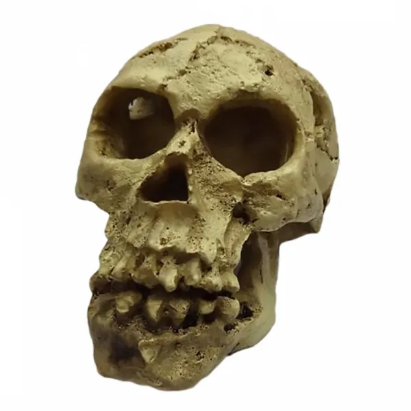 Duvo Plus Decoration Skull - Декор за аквариуми , череп - 10,5x7x7,5 см.