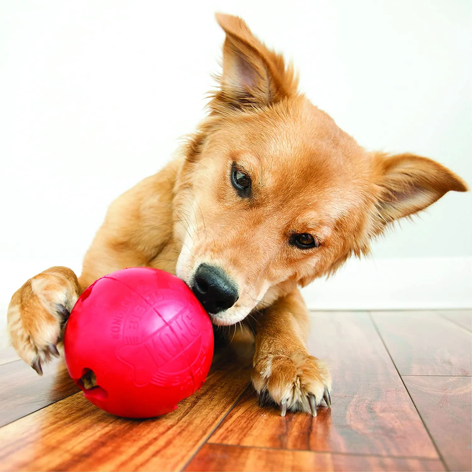 Kong Biscuit Ball Small - Гумена издръжлива топка за кучета за игра с място за пълнене с лакомства 7 см. 3