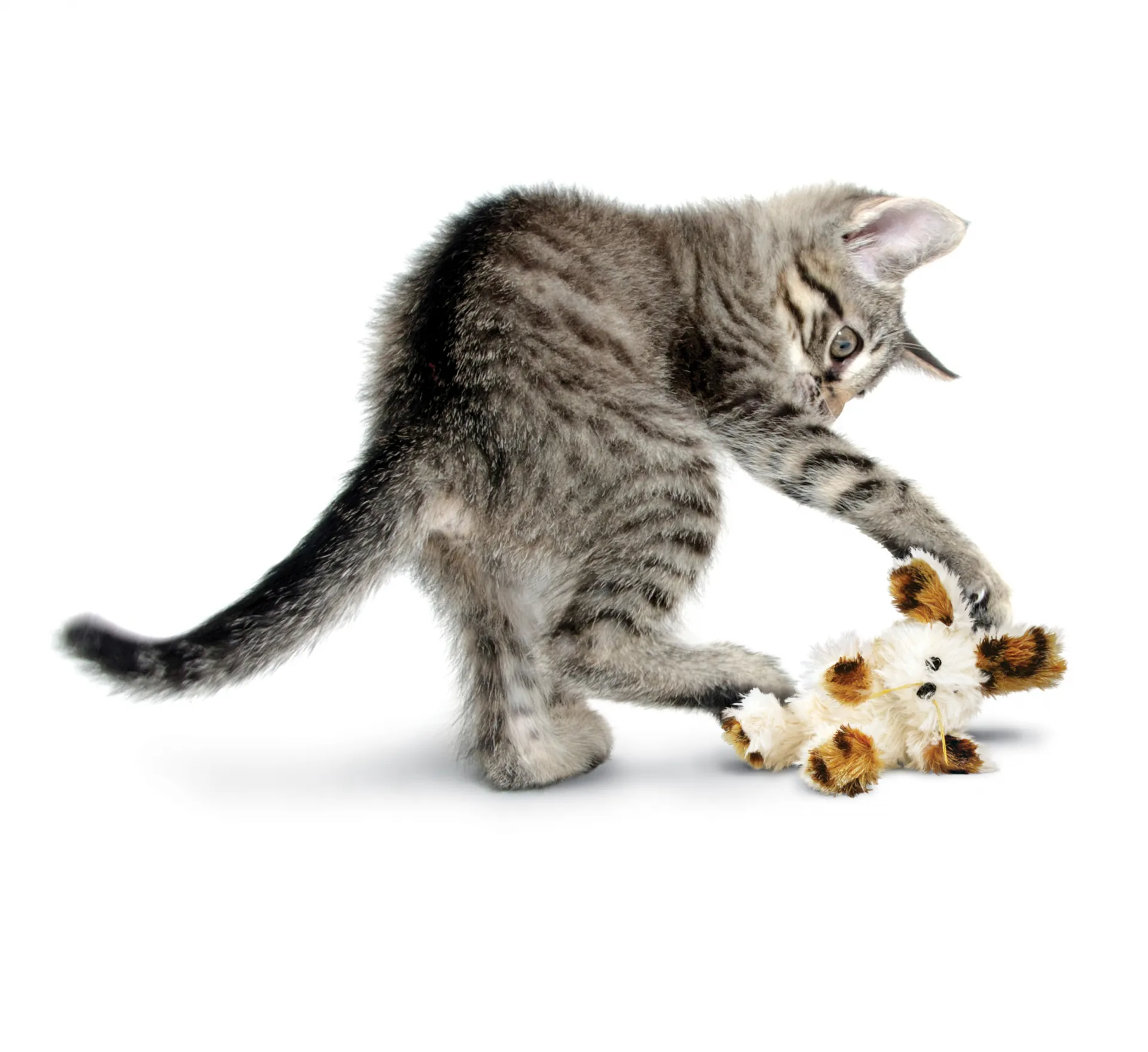Kong Cat Softies Fuzzy Bunny - Играчка за котки - плюшено зайче, бяло/сиво 1 брой 2