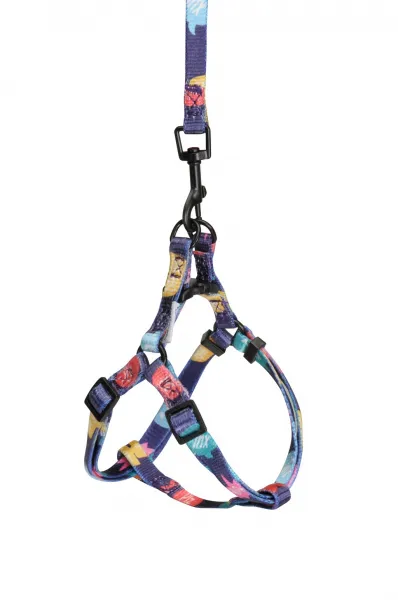 Camon Dog harness and leash Tnx - Комплект нагръдник с повод за кучета от мини и малки породи , 10/1200 мм. 1