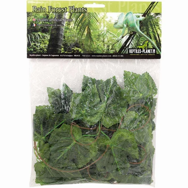 Savannah Amazon Jungle Vine to roll Reptiles-Planet - Декоративно растения за тропически терариум, 2.6 м. 1