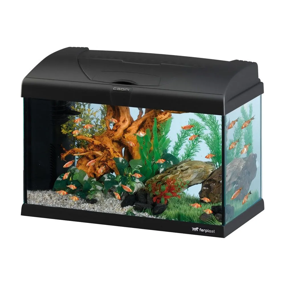 Ferplast Capri 50 LED Black - Оборудван стъклен аквариум с вътрешен филтър,40 литра черен 1