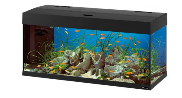 Ferplast DUBAI 100 LED – Оборудван аквариум 190 литра, стъклен с лампа, вътрешен филтър и таймер, 101 x 41 x h 53 см. черен 1