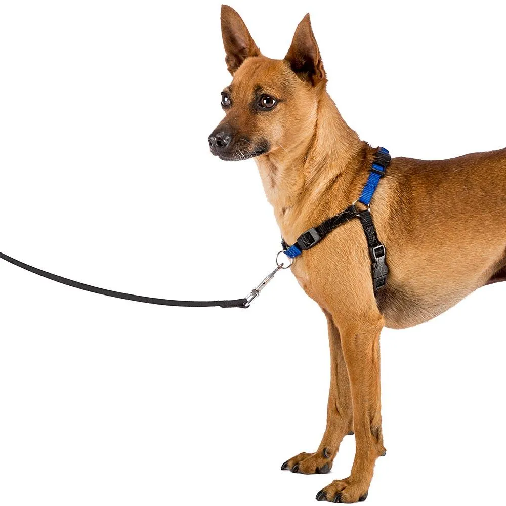 Ferplast Coach - Регулируем нагръдник за обучение на кучета, вратна обиколка 15-18 см и гръдна от 33 до 41 см. - син 2