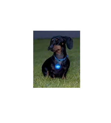 Rogz Roglite - Светещ аксесоар за кучешки нашийници, 31 мм.- син 1