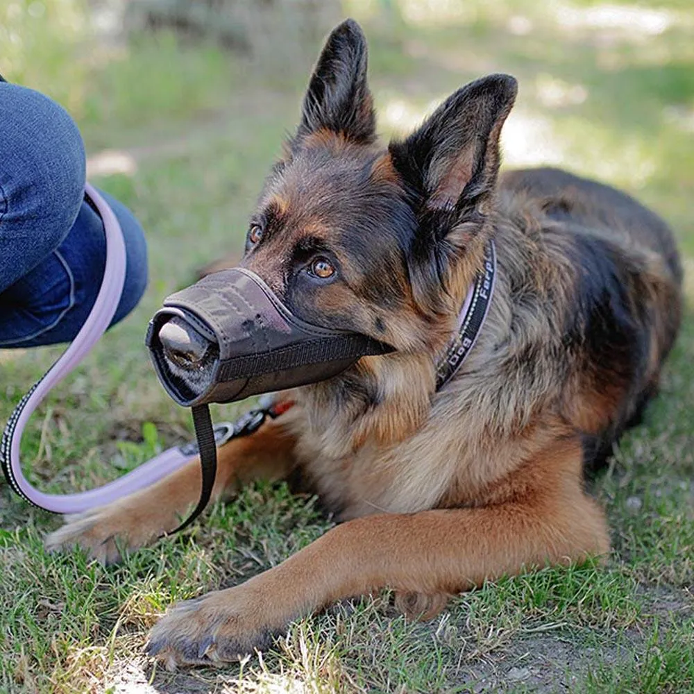 Ferplast Muzzle Safe XL Black - Регулируем намордник за големи кучета като порода ротвайлер, A: 50÷80 см- B: 24÷34 см - C: 15 см.- черен 2