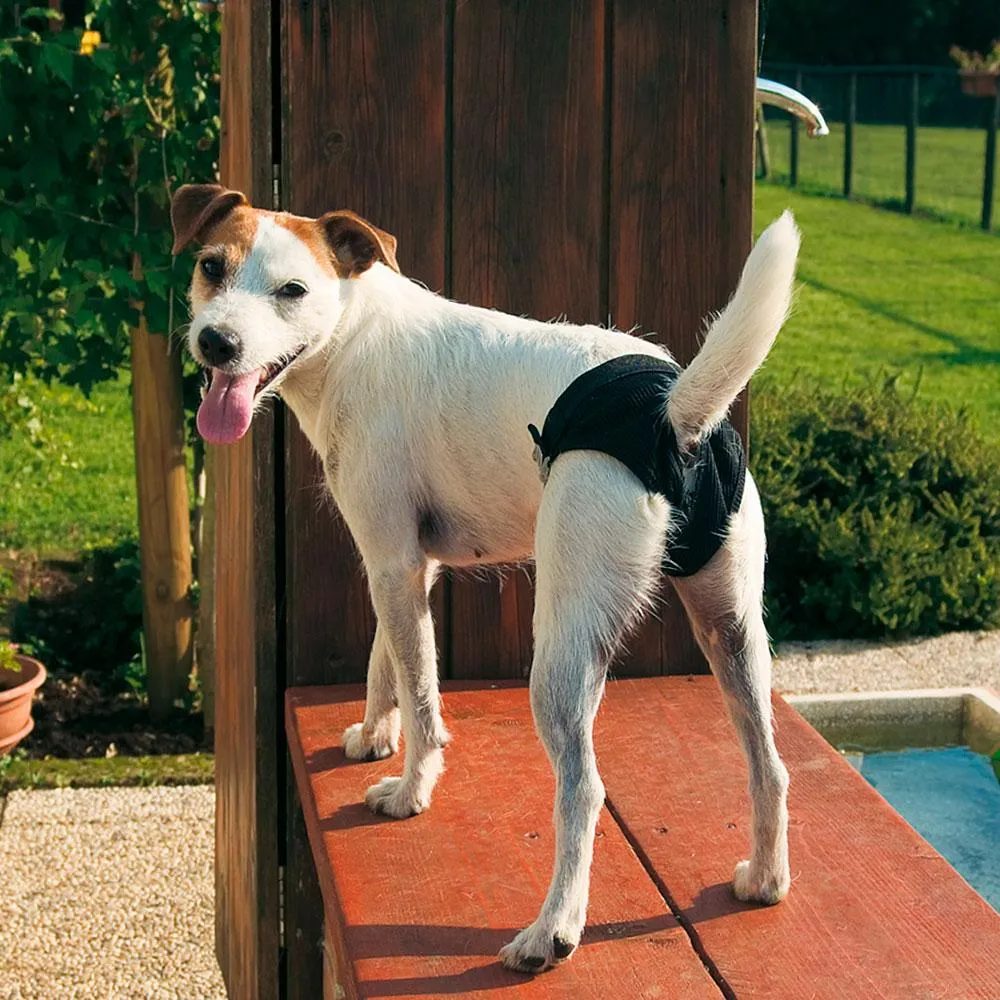 Ferplast - Culotte higienic Small - Еластични хигиенни гащи за разгонени женски кучета с обиколка на талията 38÷45 см. 2