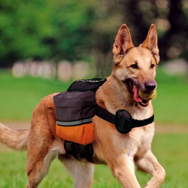 Ferplast Dog Scout - Раница за кучета, A: 44÷85 см - B: 65÷108 см - C: 65÷108 см - L 30 см 1