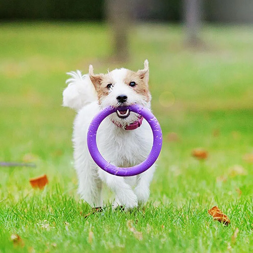 Ferplast Puller Mini - Забавна интерактивна кучешка играчка за хвърляне и дъвчене - два броя ринга, Ø 18 x 4,7 см. 2