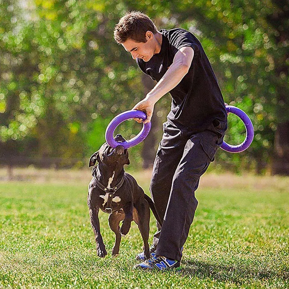 Ferplast Puller Large Standart - Забавна интерактивна кучешка играчка за хвърляне и дъвчене - два броя ринга, Ø 27 x 8,5 см. 3