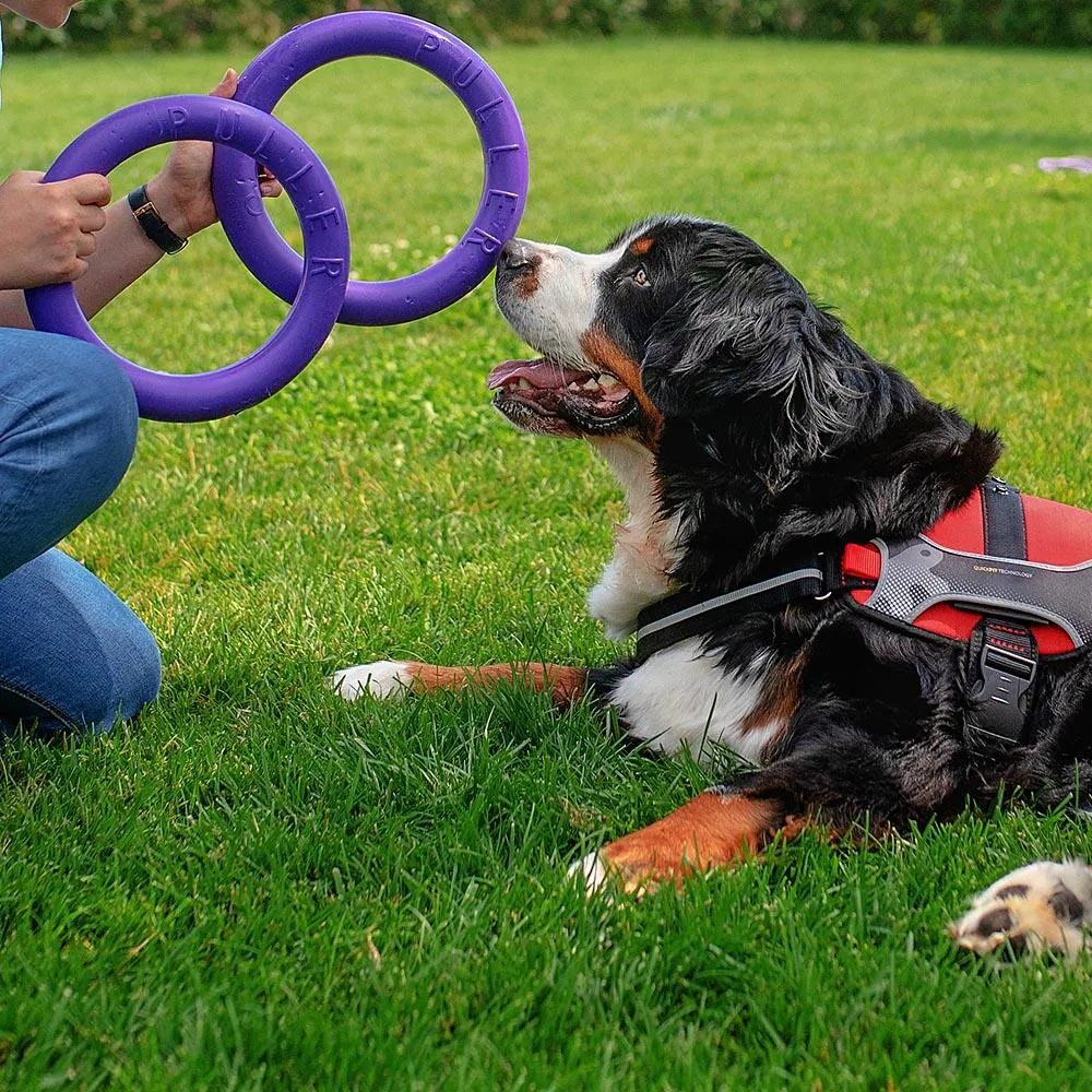 Ferplast Puller Large Standart - Забавна интерактивна кучешка играчка за хвърляне и дъвчене - два броя ринга, Ø 27 x 8,5 см. 4