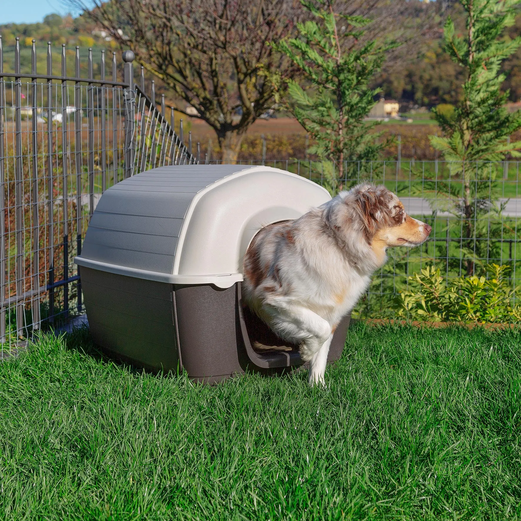 Ferplast - Kenny M - Пластмасова къща за кучета с вентилационна система, 60 x 89 x h 60 см. 2