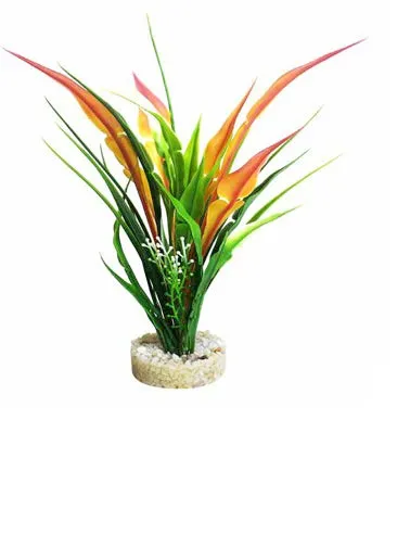 Sydeco Anubias Pearl  - Декоративно растение за аквариум, 22 см.