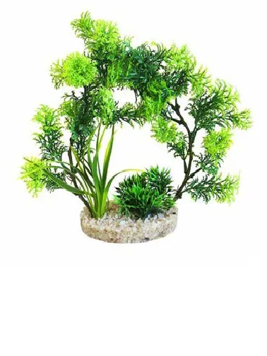 Sydeco Arch Plants - Декоративно растение за аквариуми,  21 см.