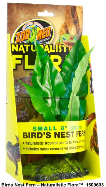 ZooMed Naturalistic Flora™ Bird Nest Fern - Декоративно растение за терариум с тежка основа, 20 см.