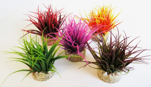 Sydeco Magic Nano Moss - Декоративно растение за аквариуми , 8 см.