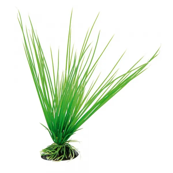 Ferplast - Acorus - Декоративно растение за аквариум, 5,5 x 2,5 x h 20 см. 1