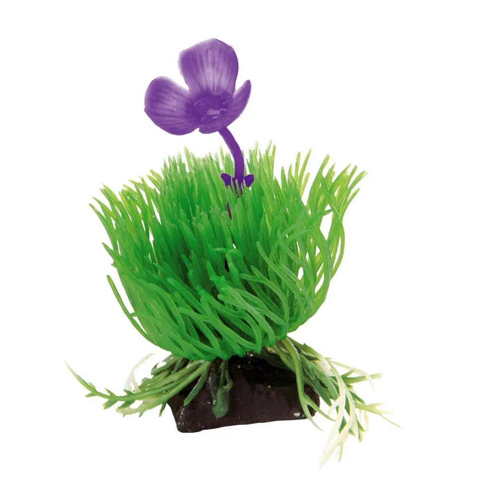 Ferplast - Acorus - Декоративно растение за аквариум, 3,5 x 2 x h 10 см. 1