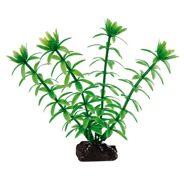 Ferplast - Egeria - Декоративно растение за аквариум, 3,5 x 2 x h 10 см. 1