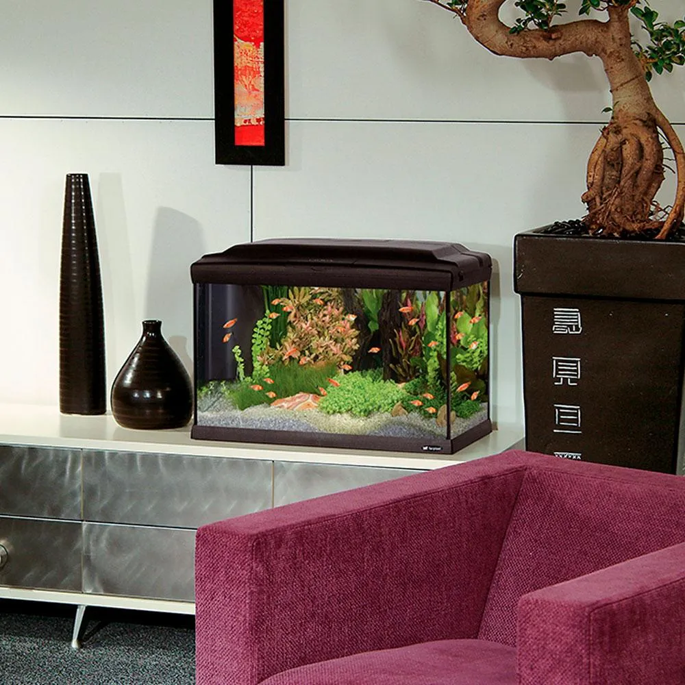 Ferplast - Cayman 50 Professional Black - Стъклен аквариум в комплект с лампа, вътрешен филтър и таймер,52 x 27 x h 38 см. - 40 литра 3
