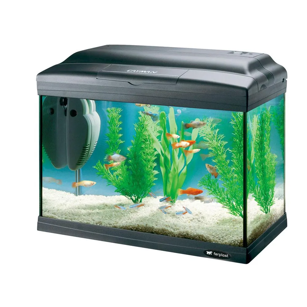 Ferplast - Cayman 40 Plus Black - Модерен и оборудван малък аквариум с лампа, вътрешен филтър и нагревател,41,5 x 21,5 x h 34 см. - 21 литра 1