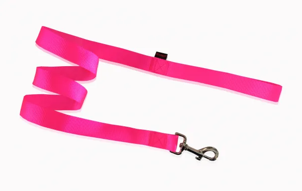Pet Interest Single Layer Leash L - Едноцветен повод за кучета, 2,5*120 см. - фосфорно розов