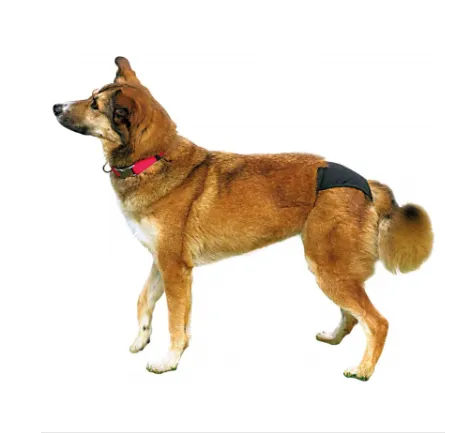 Trixie Protective Pants XS - Регулируеми защитни гащи за разгонени кучета, 20-25 см. 2