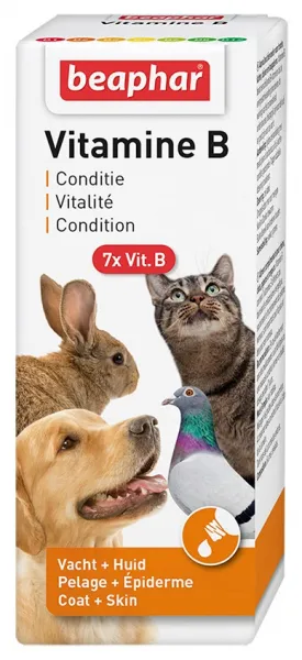 Beaphar Vitamin B - Течен, високоусвояем витамини В за кучета, котки и други домашни любимци, в стъклено шише, 50 мл