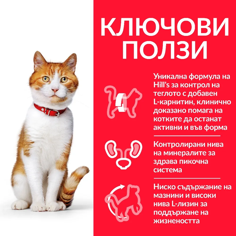 Hill’s Science Plan Oral Care - Пълноценна суха храна за котки над 1 година за поддържане на денталното здраве с пилешко месо, 1.5 кг 2