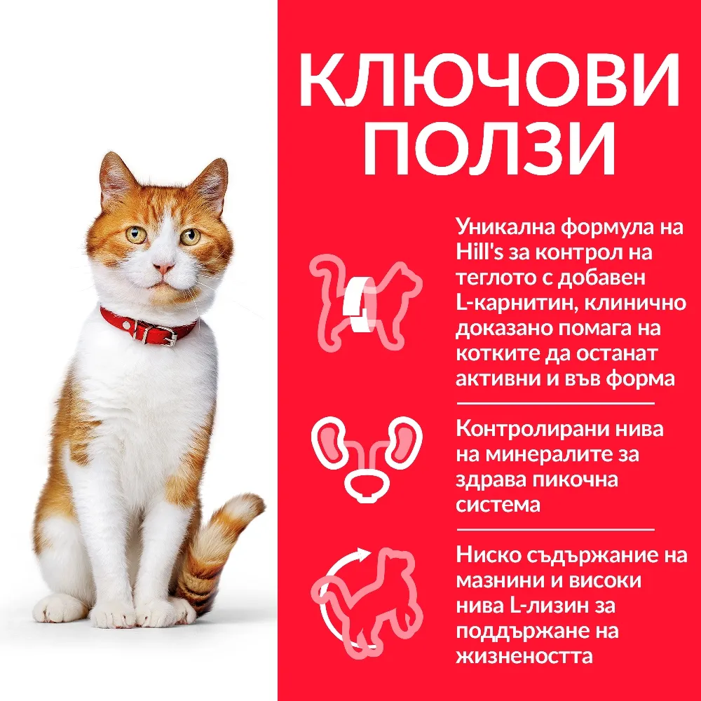 Hill's Cat Mature Adult Sterilised - Пълноценна суха храна за кастрирани котки над 7 години, с пилешко месо, 1.5 кг. 2