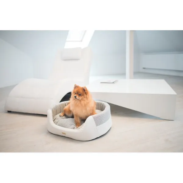 Amiplay Morgan Small - Модерно легло за кучета и котки, 54 x 45 x 16 см. - бяло 4