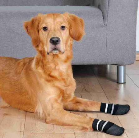 Trixie Dog Socks М-L - Меки кучешки чорапи с гумено неплъзгащо покритие, 2 броя 2