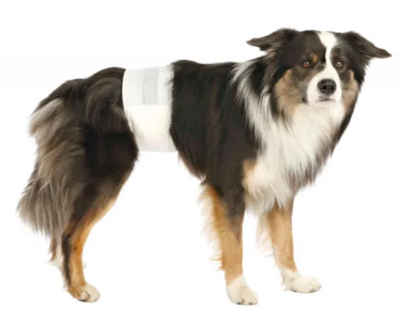 Trixie Diapers for Male Dogs M-L - Памперс / пелена за мъжки кучета,регулируем,  46-60 см. - 12 броя 2
