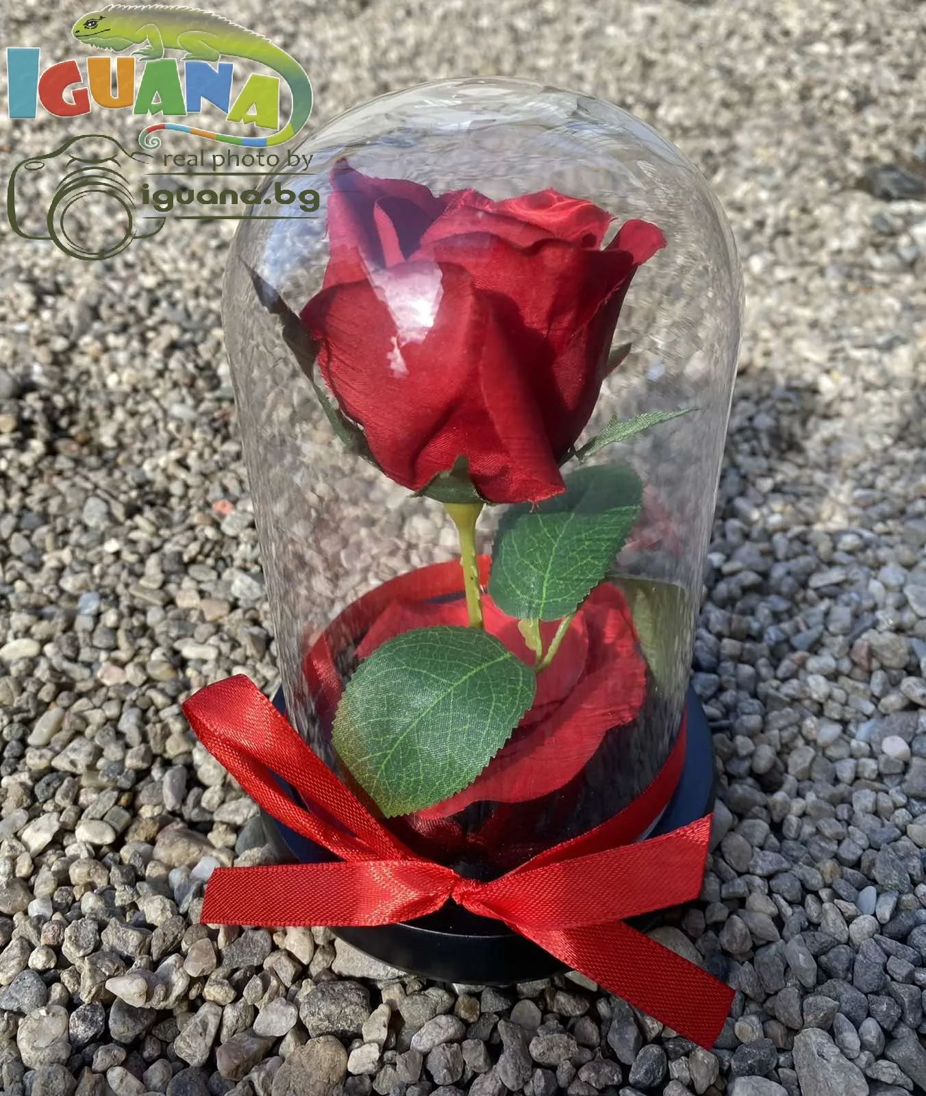 Вечна - неувяхваща ИЗКУСТВЕНА роза в стъкленица, Оригинален и стилен подарък за Жена | IGUANA.BG 5