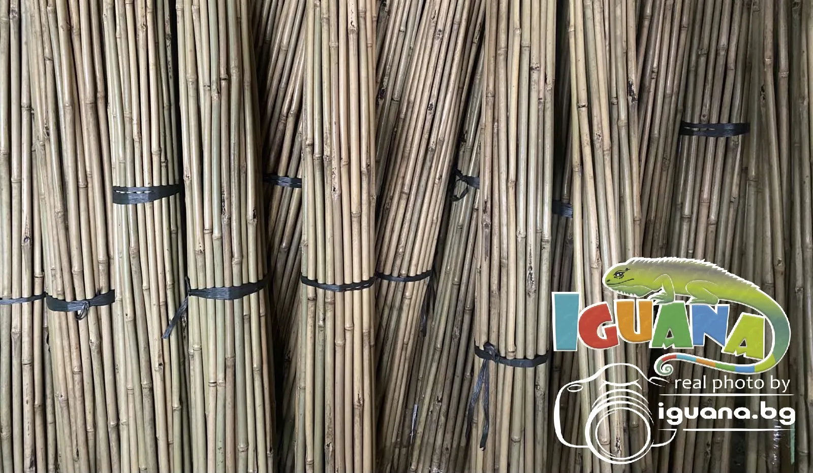 Колчета за домати от бамбук 180см / 210см кол, бамбукови пръчки 1,80м или 2,10м комплект | IGUANA.BG 7