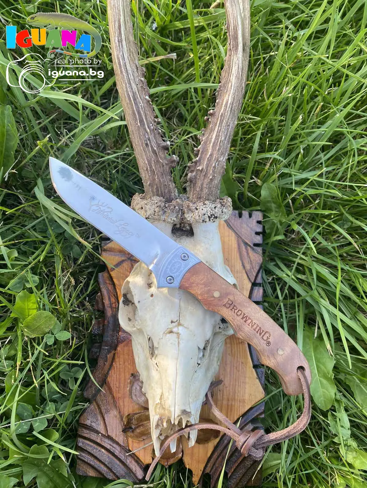 Ловен нож BROWNING с дървена дръжка + калъф естествена кожа, ножове за лов, къмпинг, риболов, MADE in SPAIN 2