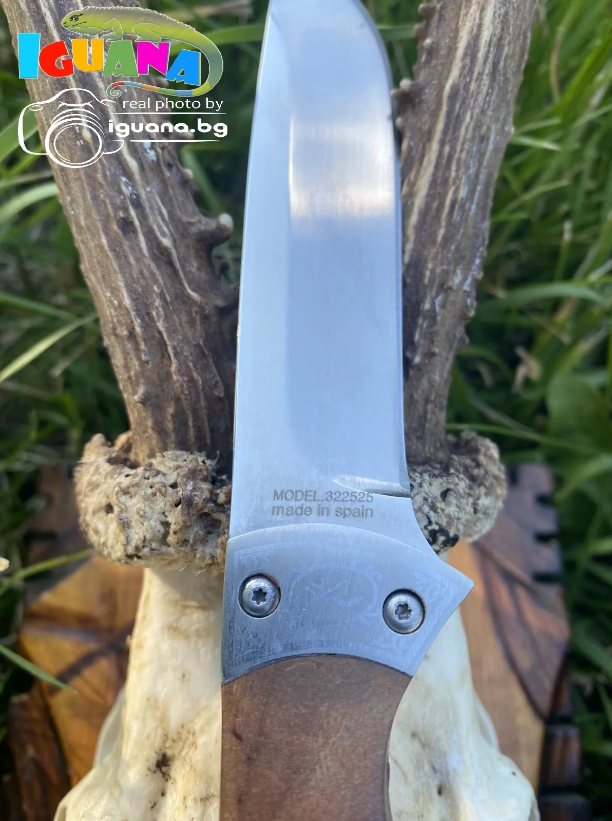 Ловен нож BROWNING с дървена дръжка + калъф естествена кожа, ножове за лов, къмпинг, риболов, MADE in SPAIN 4