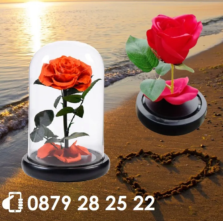 Вечна - неувяхваща ИЗКУСТВЕНА роза в стъкленица, Оригинален и стилен подарък за Жена | IGUANA.BG 7
