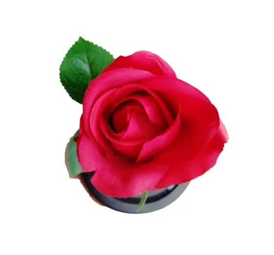 Вечна - неувяхваща ИЗКУСТВЕНА роза в стъкленица, Оригинален и стилен подарък за Жена | IGUANA.BG 10