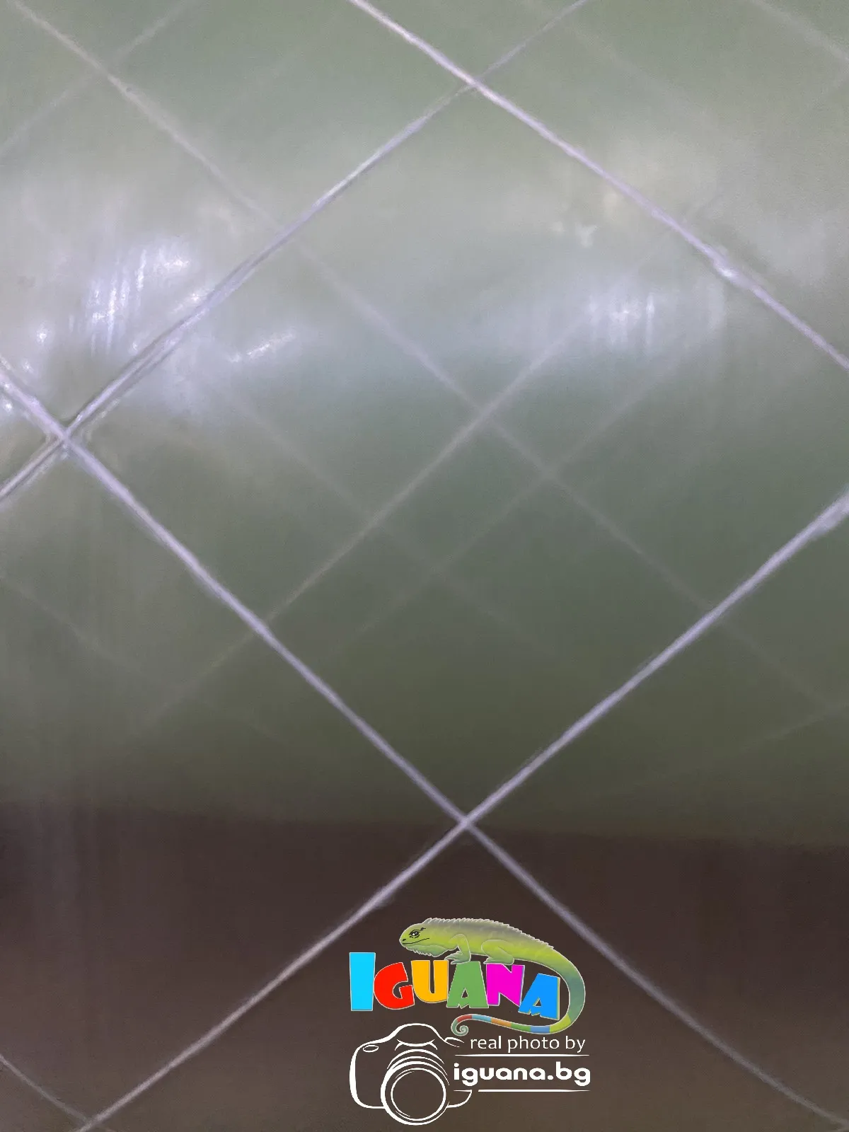 Армиран Найлон с UV защита Зеленикав ПО РАЗМЕР армиран полиетилен за покриване на оранжерии, парници, сушилници и професионално земеделие IGUANA.BG 5