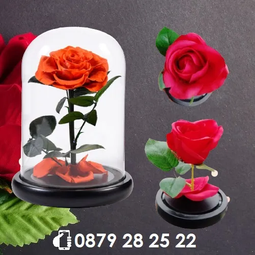 Вечна - неувяхваща ИЗКУСТВЕНА роза в стъкленица, Оригинален и стилен подарък за Жена | IGUANA.BG 15