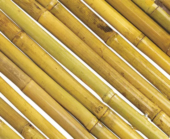Колчета за домати от бамбук 210см кол, бамбукови пръчки 2,10м комплект | IGUANA.BG 5