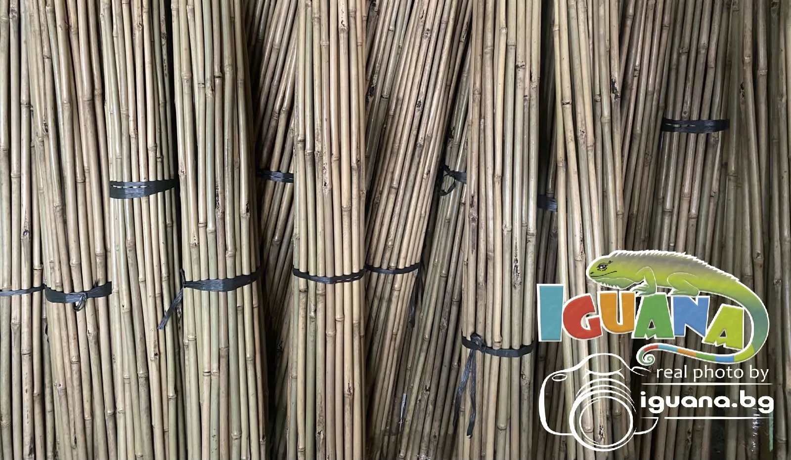 Колчета за домати от бамбук 210см кол, бамбукови пръчки 2,10м комплект | IGUANA.BG 8